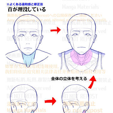 個人メモ:立体的な首の描き方