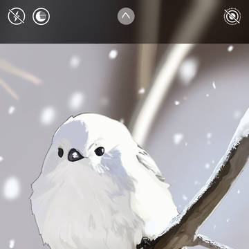 シマエナガ