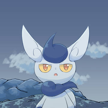 夜空とねこ
