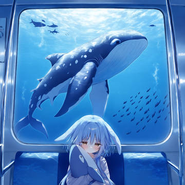 anima?还算不错