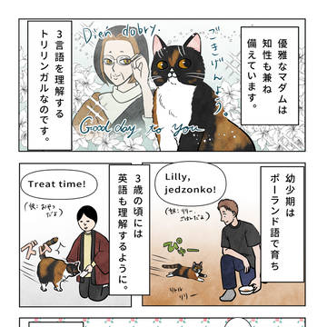 トリリンガルのマダム🌹