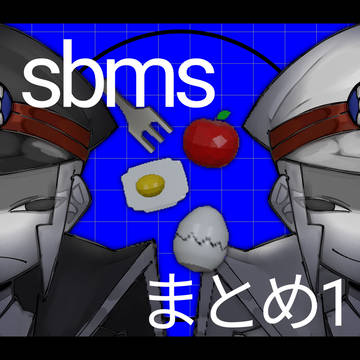 sbmsまとめ1