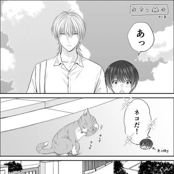 ネコまっしぐら