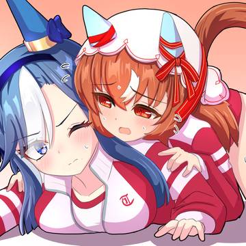 ｽﾃｨﾙｳﾞ