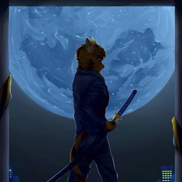 The moon night