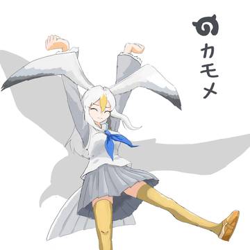カモメ