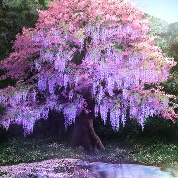 藤纏う桜