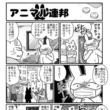 アニマル連邦『用法用量』