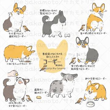 普段食べないものを目にしたときのコーギーあるある