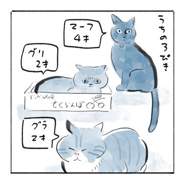 うちの3ぴき。その4