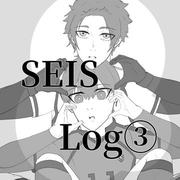 SEIS Log③