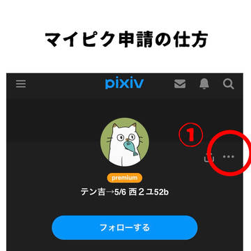 マイピクに作品を追加しました