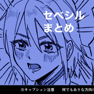 ｾﾍﾞｼﾙまとめ