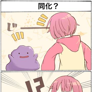 同化?
