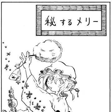 秘するメリー