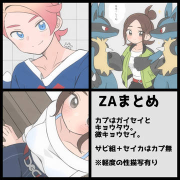 ZAまとめ2