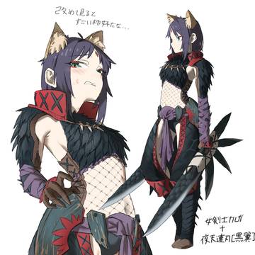 ナルガ装備いろP
