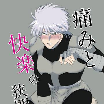 ミスヒュン小説の表紙