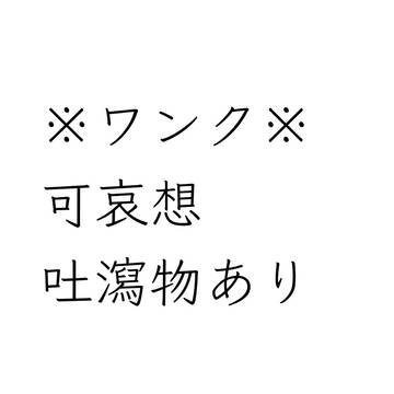 落書き