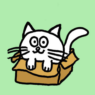 ダンボール猫