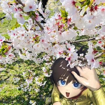 お花見