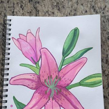 Flower Lilly 🩷