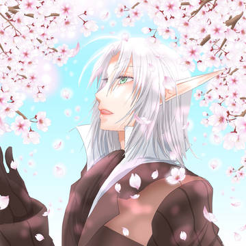 満開の桜とコグオ
