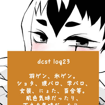 dcst log23