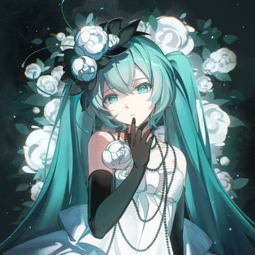 Camellia