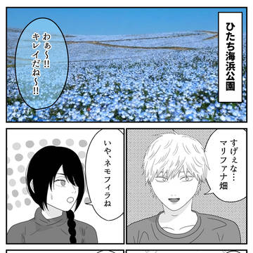 ネモフィラ
