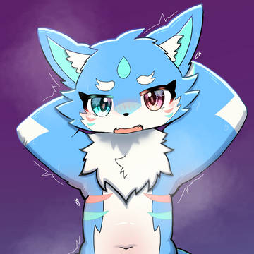 𝐒𝐞𝐱𝐲 𝐬𝐡𝐚𝐫𝐤 𝐰𝐨𝐥𝐟 🦈🐺
