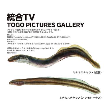 お仕事告知