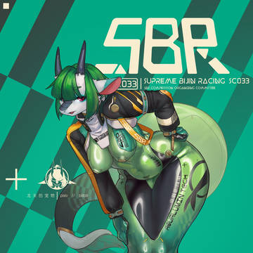 SBR组委会