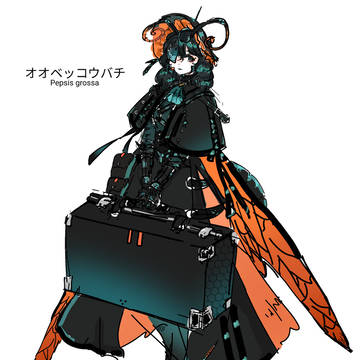 オオベッコウバチ🐝