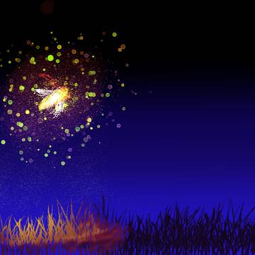 ホタルの光