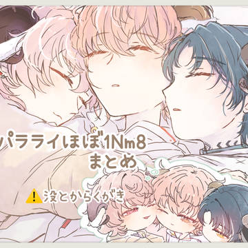 パラライ詰めほぼいんめいと