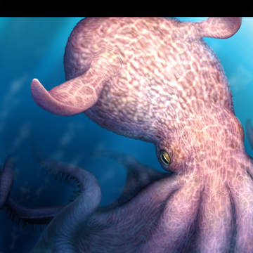 Cretaceous kraken