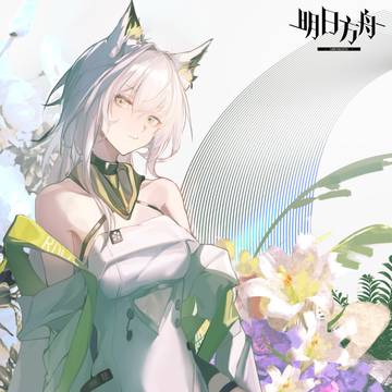 老猫回来吧
