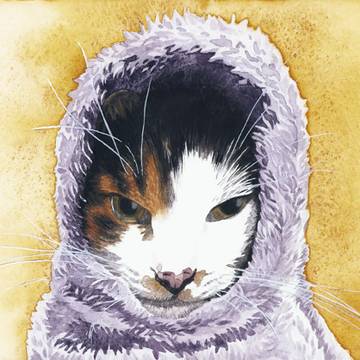 にゃんこ
