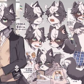 ボーダーコリーくん🐾