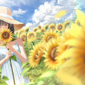 ひまわり