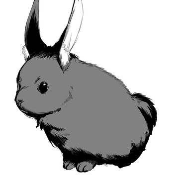 うさぎちゃん