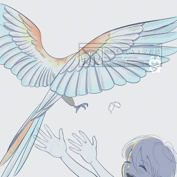 ノアと鳥