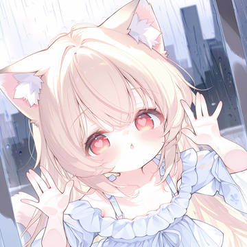 可爱小猫~
