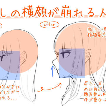 推しの横顔が崩れる人へ