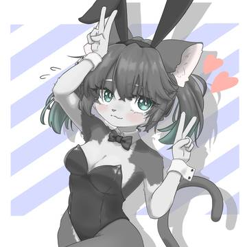 バニーガールねこ