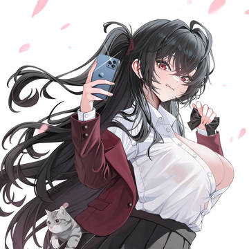 大凤jk