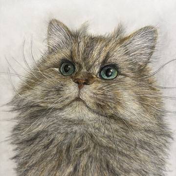 ねこ