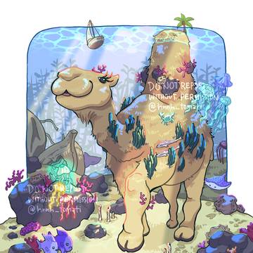 Camel Island