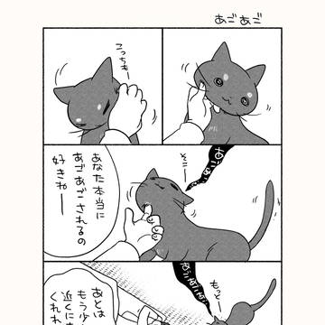 ねこエッセイ漫画きくちょろ まとめ(3月)